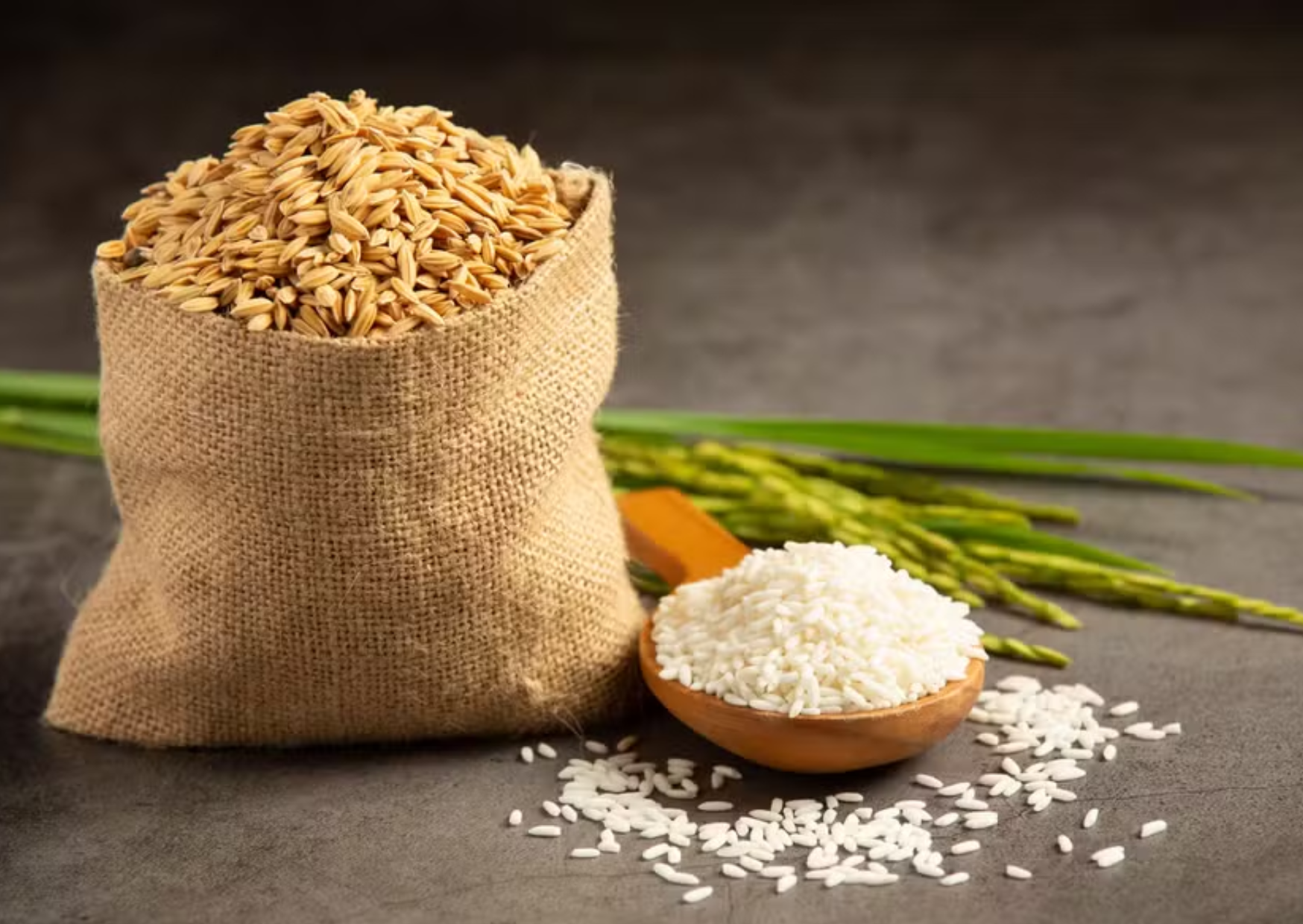 Governo suspende leilão para importar arroz do Mercosul após a alta de preços