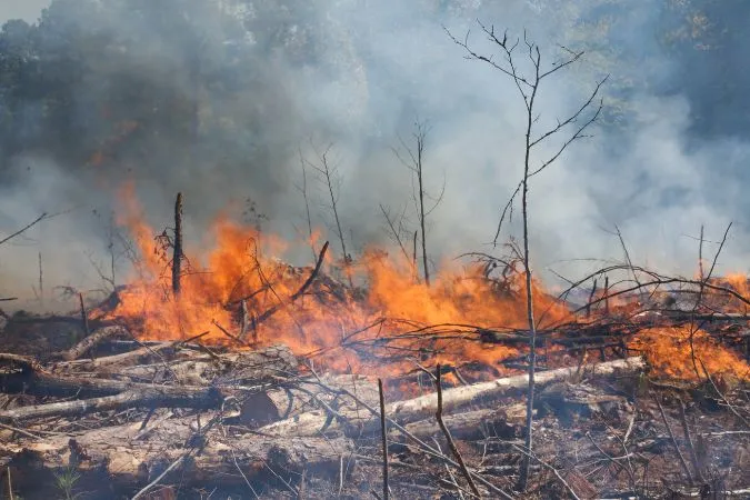 Queimadas: Corpo de Bombeiros de SP utiliza tecnologia brasileira contra incêndio