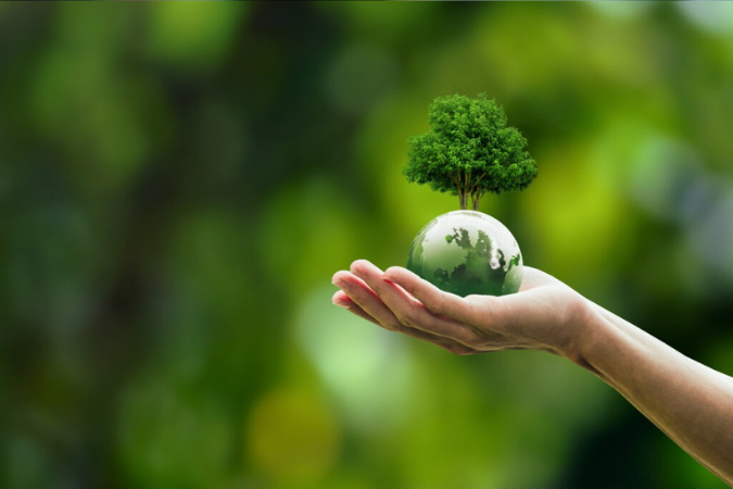 Mercado de carbono abre fronteiras para investimento sustentável