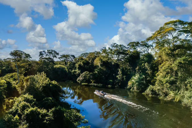 Google doa R$ 20 milhões para a Amazônia