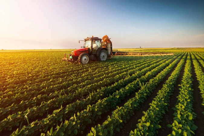 Guerra comercial entre EUA e China impulsiona agro brasileiro, diz Financial Times