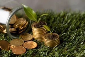 Investimentos de impacto social e ambiental geram lucratividade