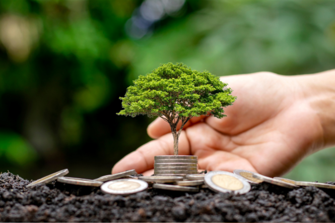 BID vai investir R$ 65 bilhões por ano em clima até 2030