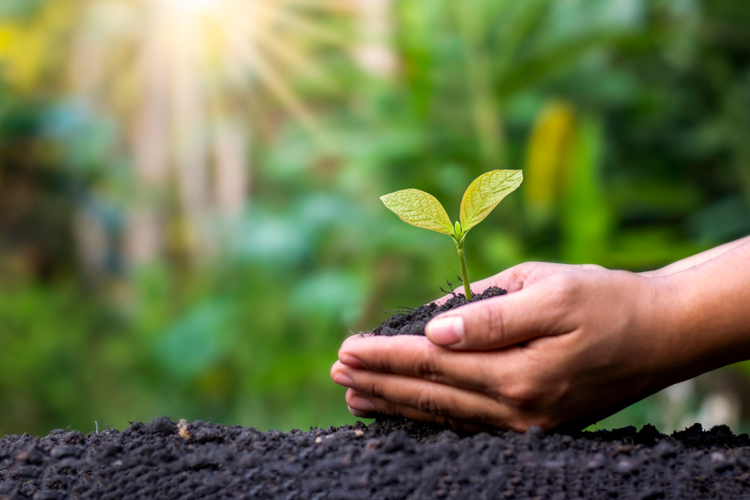 Eco Invest: o que é e por que os bancos estão apostando?