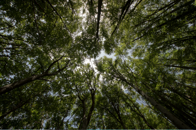 Serasa indica que sustentabilidade é rotina para 97% dos brasileiros