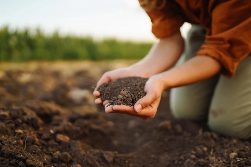 Investimento no Plano Safra da Agricultura Familiar