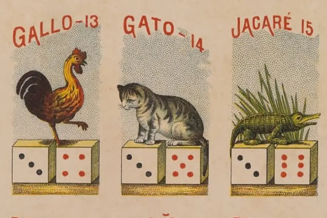 Jogo do bicho: entenda como funciona e os efeitos da legalização