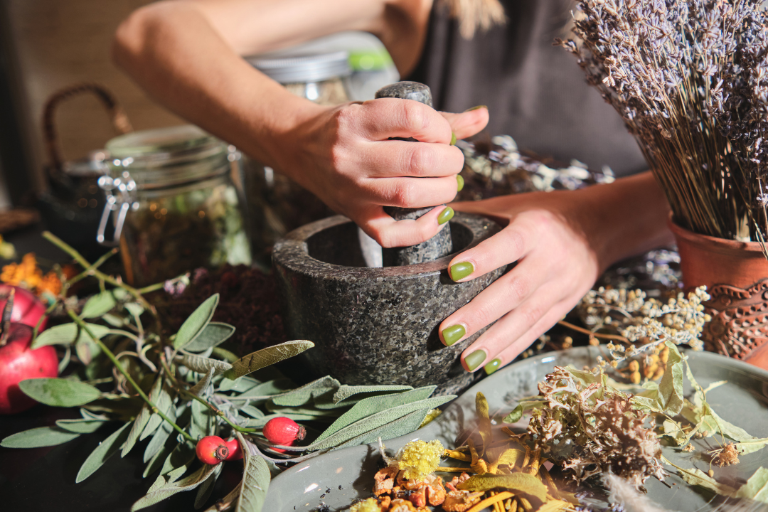 Chás e plantas medicinais: benefícios, fitoterapia e cuidados para a saúde