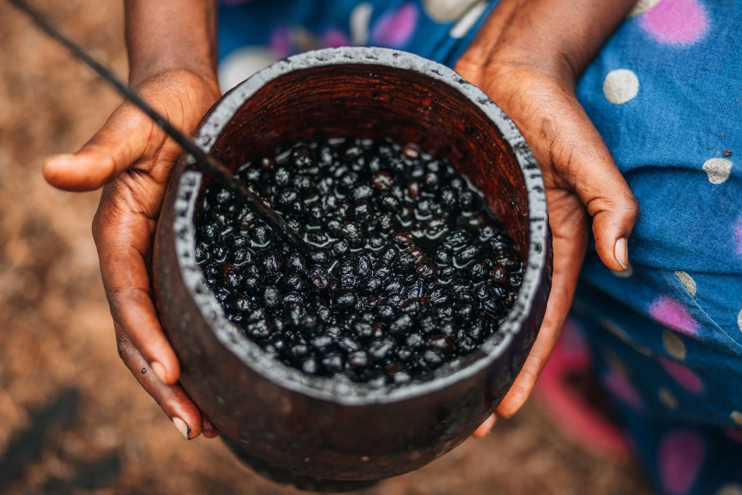 Açaí, pescado, castanhas e mais: confira a lista de alimentos que serão comprados pelo governo após tarifaço