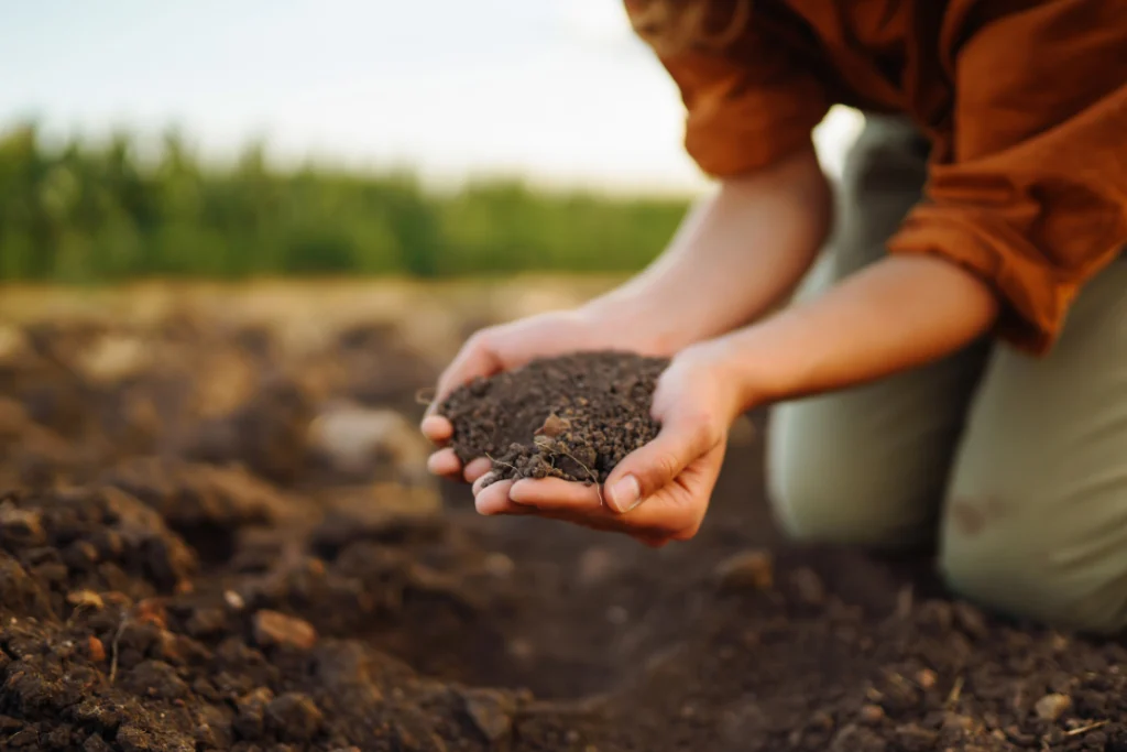 Agricultores produzindo bioinsumos em cooperativas