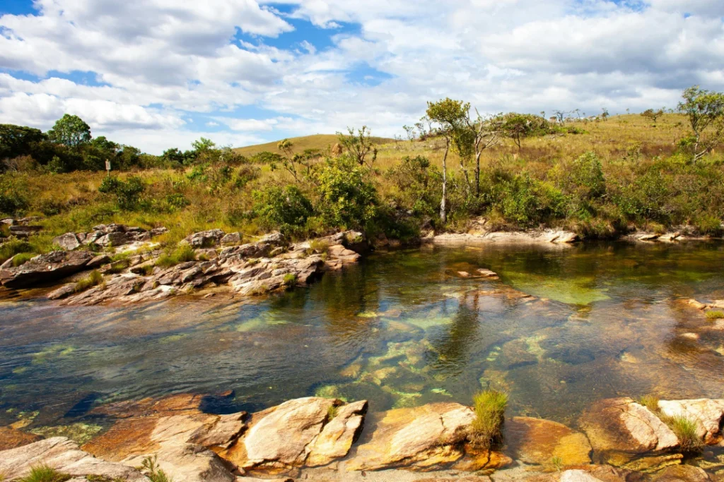 Parceria entre Brasil e Holamda promove pesquisa no cerrado