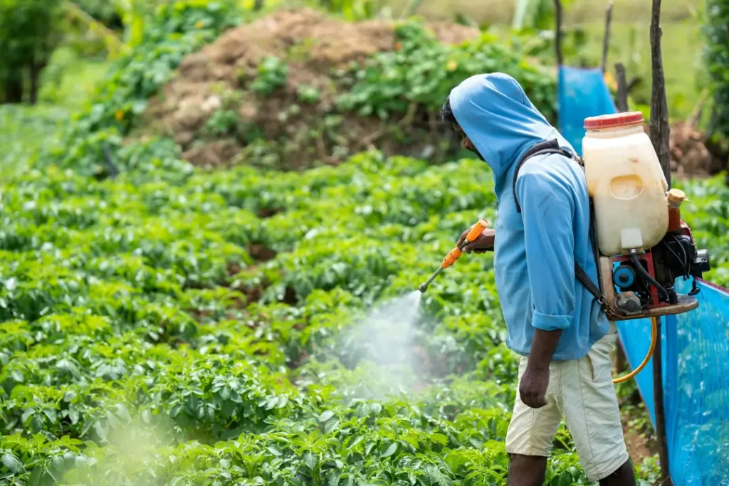 Aumento da agricultura e recuperação de pastagens devem impulsionar uso de fertilizantes no Brasil até 2030 | Foto: Reprodução/Canva