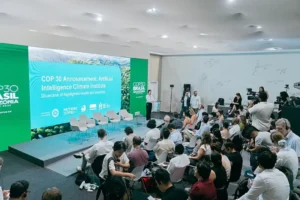 Entre promessas globais e desafios locais, o Brasil tenta transformar o protagonismo ambiental em consciência pública sobre o futuro do planeta | Foto: Reprodução/Wikimedia Commons