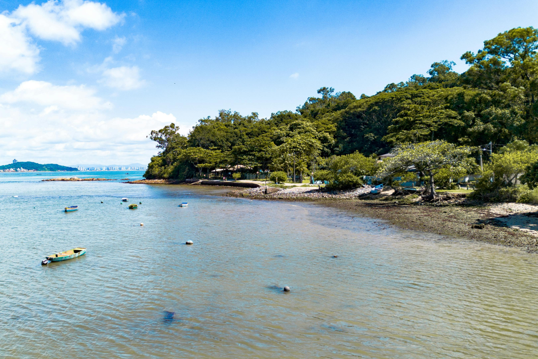 Turismo internacional no Brasil bate recorde histórico e supera todo o ano de 2024