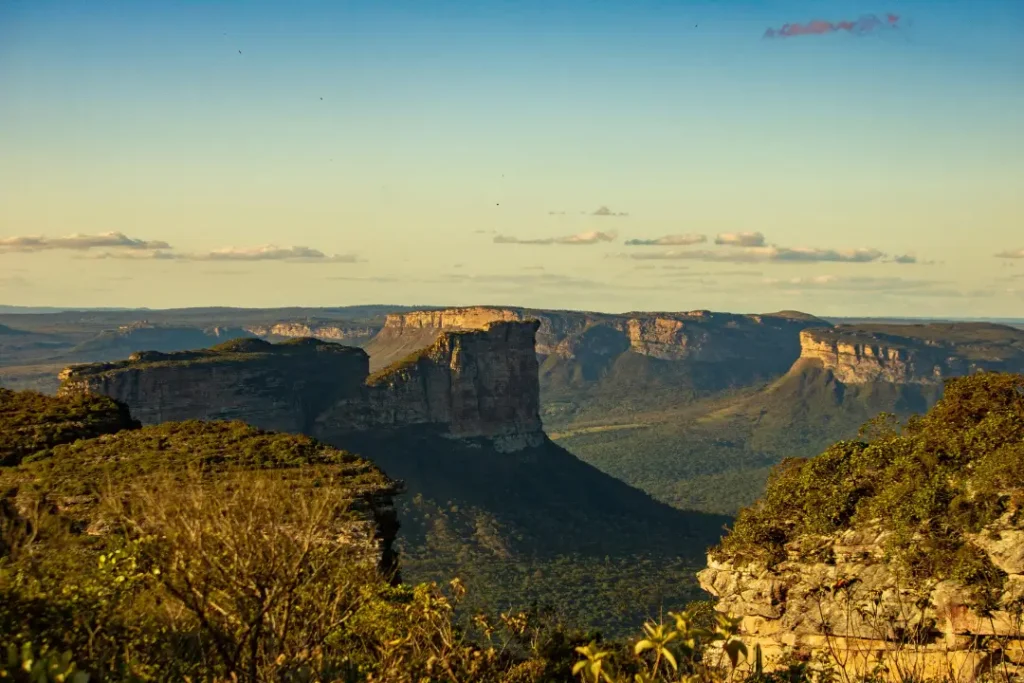 A discussão internacional sobre clima deixou de se restringir à preservação ambiental e passou a integrar temas como segurança alimentar, desenvolvimento sustentável e energia | Foto: Reprodução/Canva
brasil