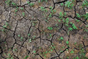 2025 deve terminar como um dos anos mais quentes da história, dizem cientistas do C3S
