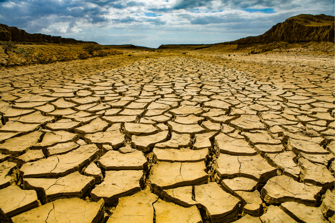 El Niño 2026: fenômeno ameaça inflação e pode causar grandes prejuízos no Brasil