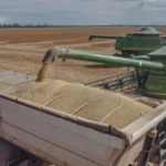 El Niño ameaça safra 2026/27 e pode encarecer alimentos no Brasil