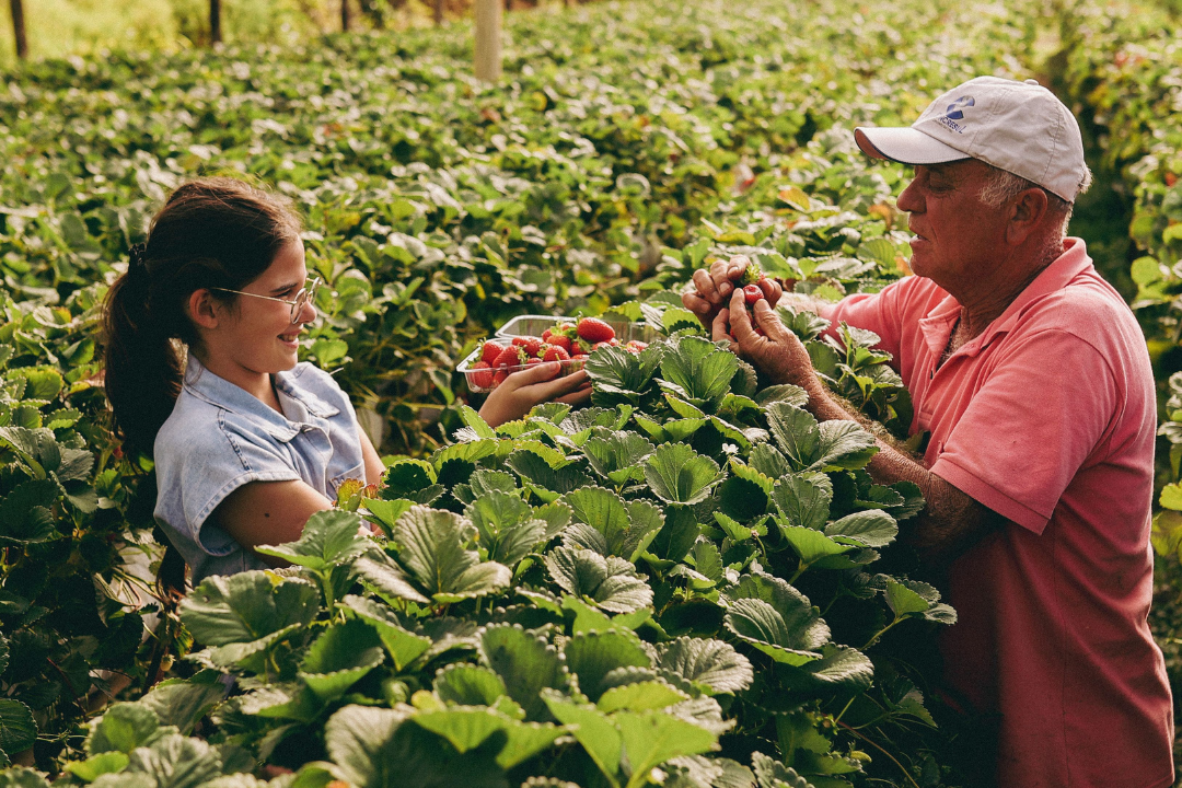 Agricultura Familiar: Finep lança editais de R$ 220 milhões para inovação