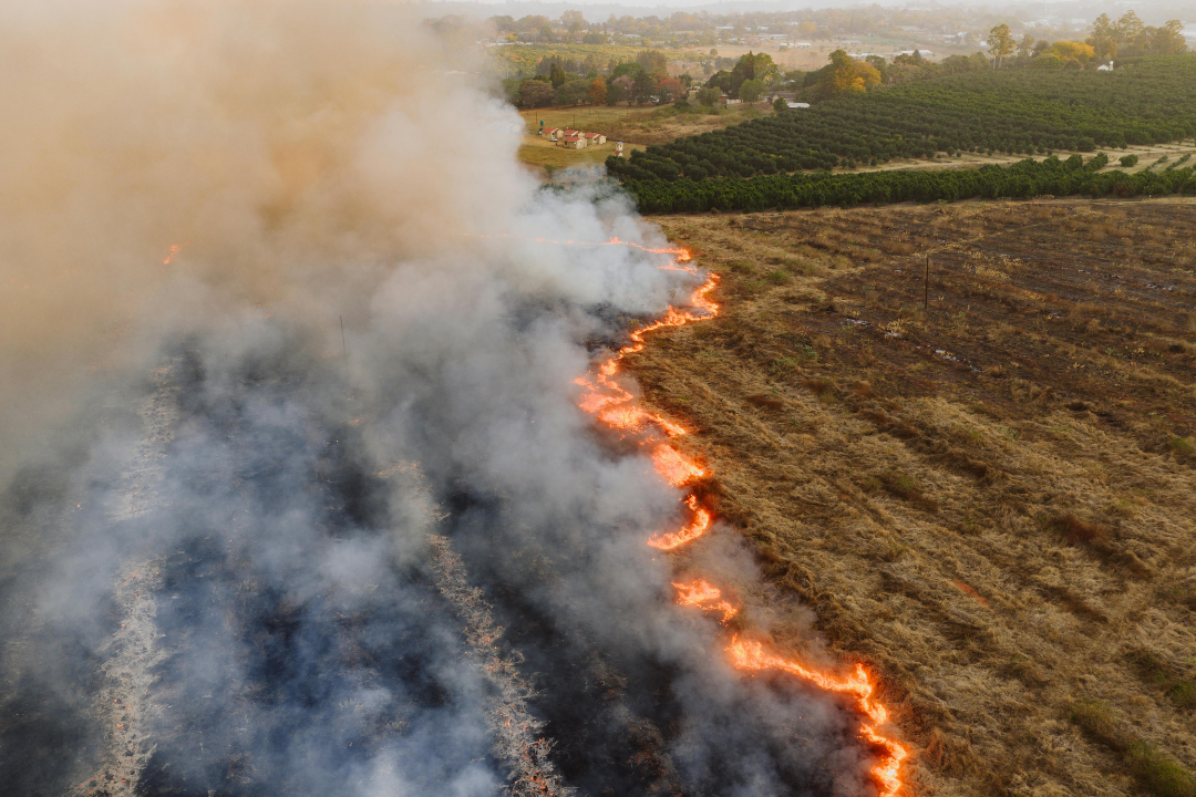 O que é o El Niño? Governo anuncia plano de R$ 9,8 bilhões para reduzir impactos no Brasil