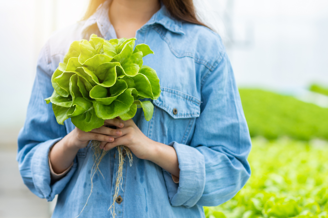 Governo anuncia Plano Safra da Agricultura Familiar com R$ 97,3 bilhões para crédito e incentivo à produção