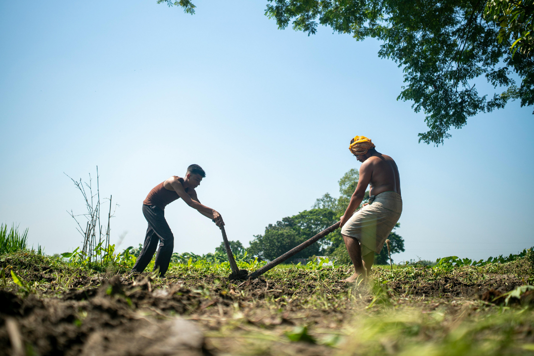 Inadimplência no campo bate recorde e cresce entre produtores rurais em 2026