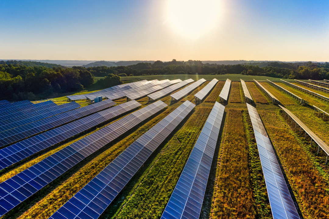 Brasil ainda deverá desperdiçar parte da energia solar e eólica até 2030, aponta ONS