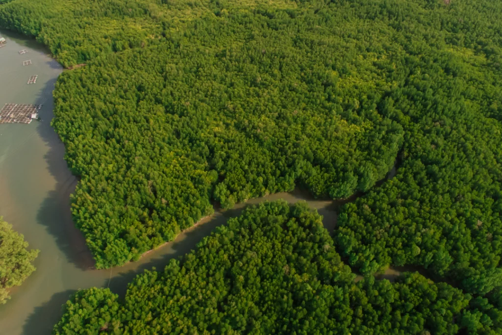 Ibama autoriza Petrobras a perfurar mais três poços na Foz do Amazonas