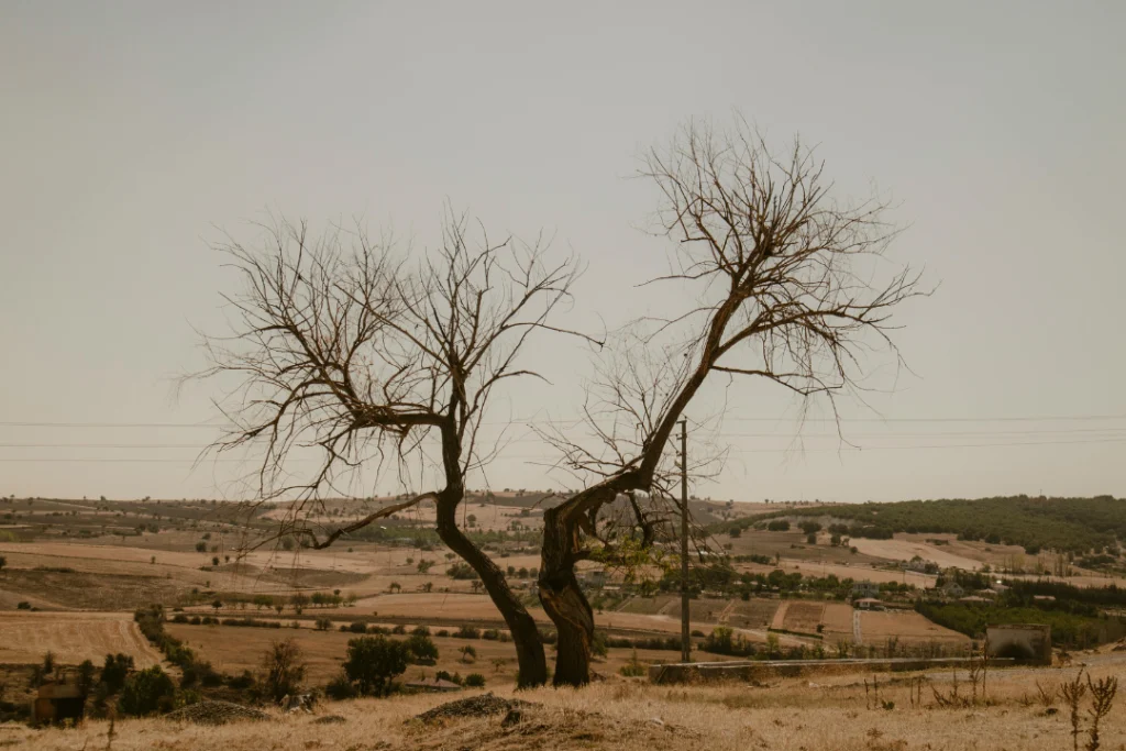 Super El Niño pode trazer calor extremo ao Brasil; veja como se proteger