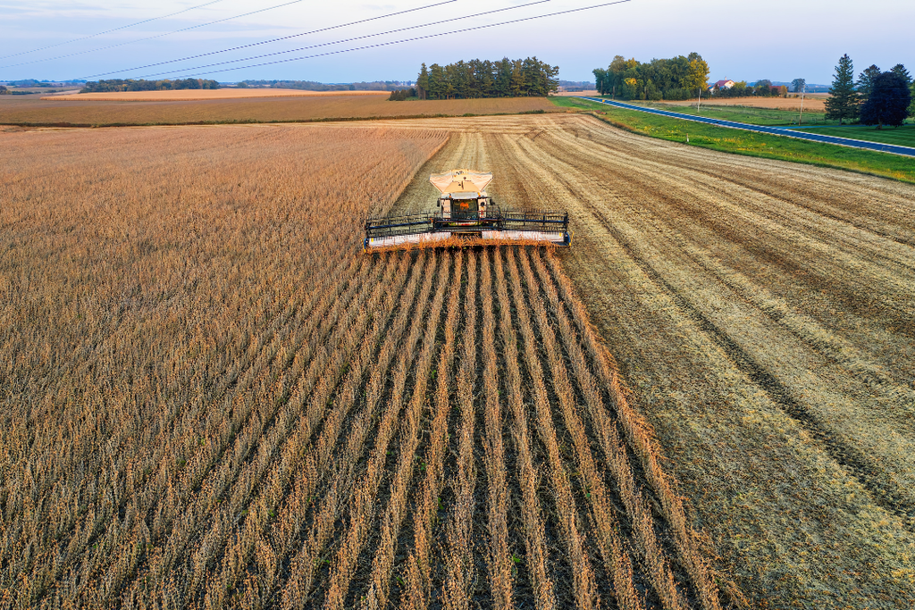 Do agro ao petróleo: como votou e o que move cada estado
