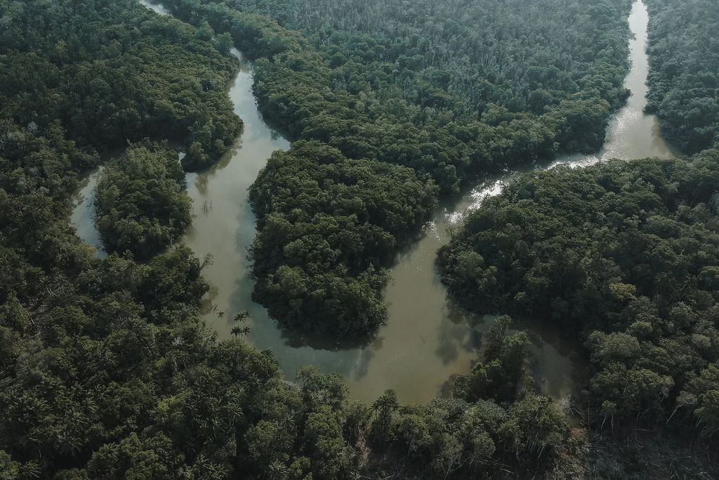 Holanda anuncia US$ 500 milhões para fundo de proteção das florestas tropicais