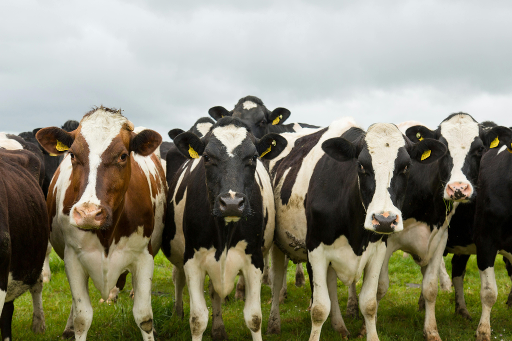 Do agro ao petróleo: como votou e o que move cada estado